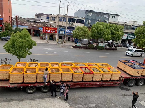 微信图片_20230425151632